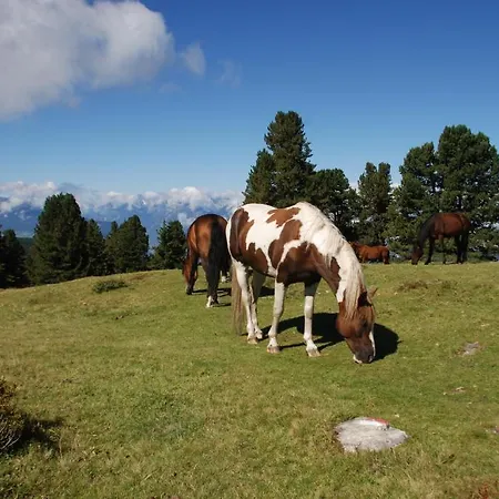 & Marlstein Affittacamere